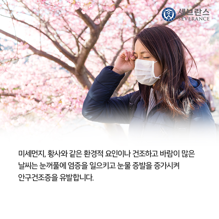 미세먼지, 황사와 같은 환경적 요인이나 건조하고 바람이 많은 날씨는 눈꺼풀에 염증을 일으키고 눈물 증발을 증가시켜 안구건조증을 유발합니다. 